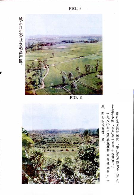 《四川省岳池县地名录》.pdf电子版_四川省志插图5