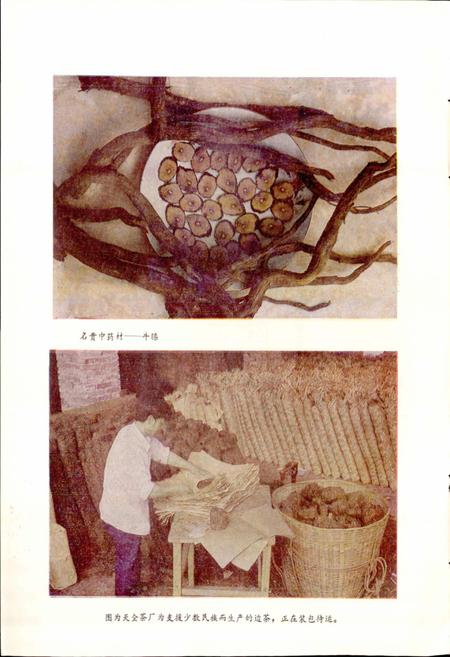 《四川省天全县地名录》.pdf电子版_四川省志插图3