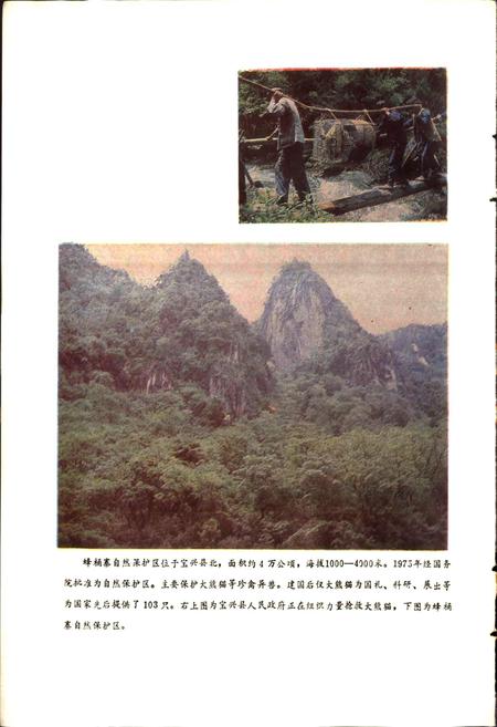 《四川省宝兴县地名录》.pdf电子版_四川省志插图3