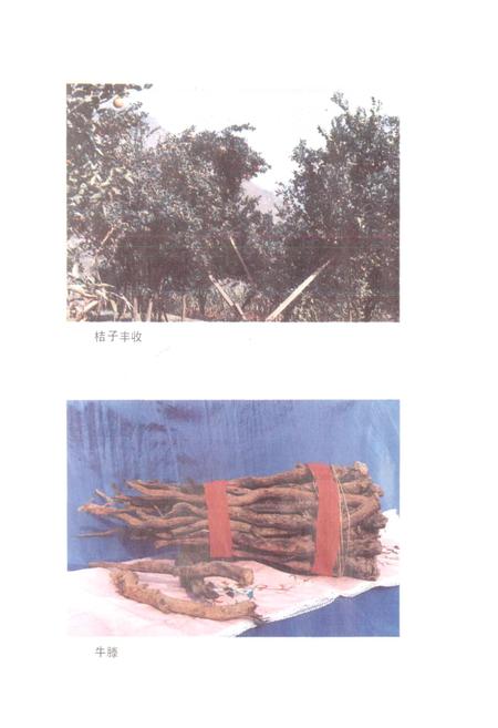 《四川省金口河工农区地名录》.pdf电子版_四川省志插图3