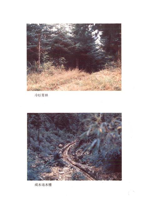 《四川省金口河工农区地名录》.pdf电子版_四川省志插图4