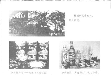 《四川省泸州市地名录》.pdf电子版_四川省志插图4