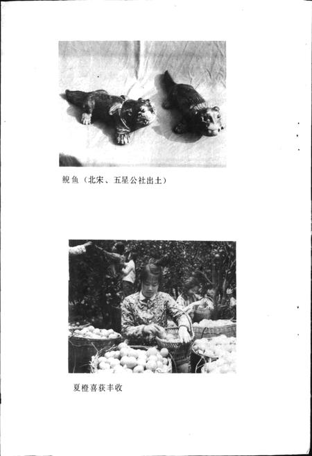 《四川省蒲江县地名录》.pdf电子版_四川省志插图4