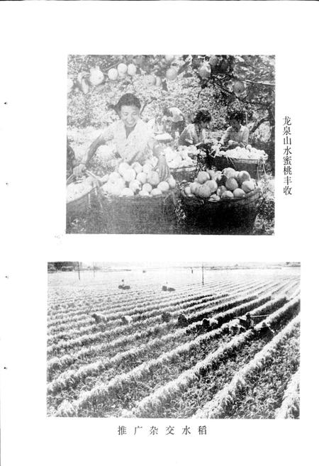 《四川省成都市地名录第三分册龙泉驿区》.pdf电子版_四川省志插图3
