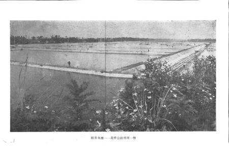 《四川省新津县地名录》.pdf电子版_四川省志插图4