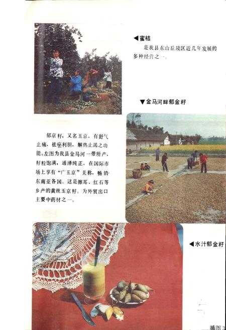 《四川省双流县地名录》.pdf电子版_四川省志插图4