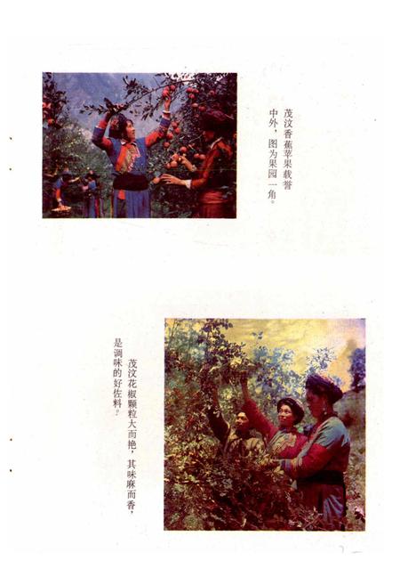 《四川省阿坝藏族自治州茂汶羌族自治县地名录》.pdf电子版_四川省志插图3