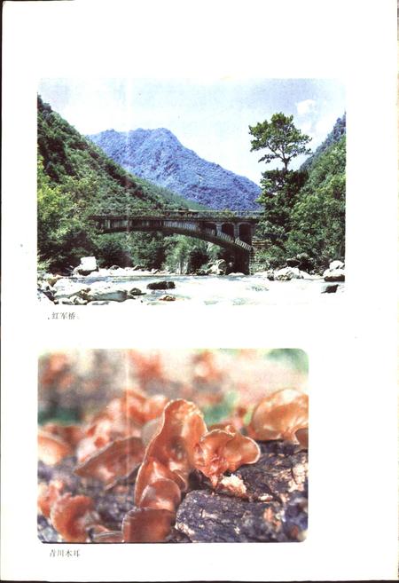 《四川省青川县地名录》.pdf电子版_四川省志插图5