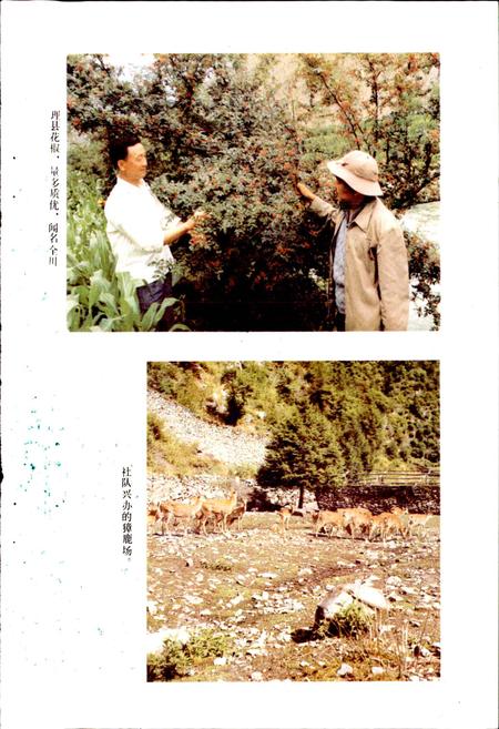 《四川省阿坝藏族自治州理县地名录》.pdf电子版_四川省志插图4