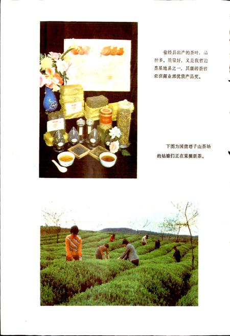 《四川省荥经县地名录》.pdf电子版_四川省志插图5