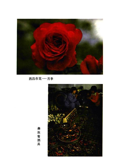 《四川省凉山彝族自治州 西昌市地名录》.pdf电子版_四川省志插图2