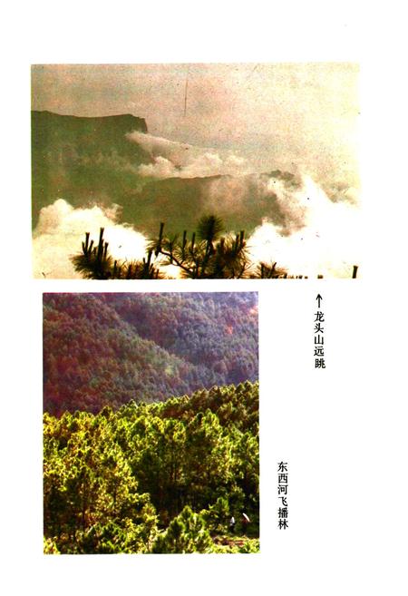 《四川省凉山彝族自治州 西昌市地名录》.pdf电子版_四川省志插图5