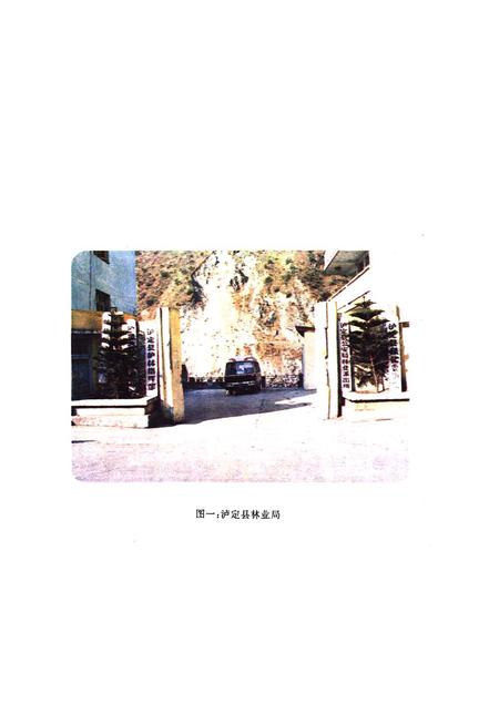 《甘孜藏族自治州泸定县林业志》.pdf电子版_四川省志插图3