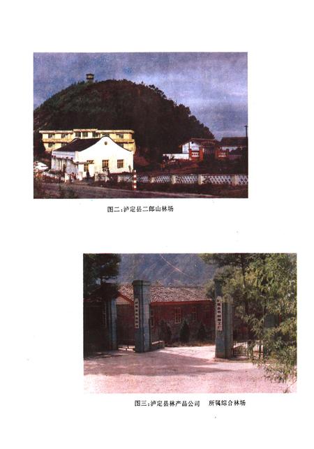 《甘孜藏族自治州泸定县林业志》.pdf电子版_四川省志插图4