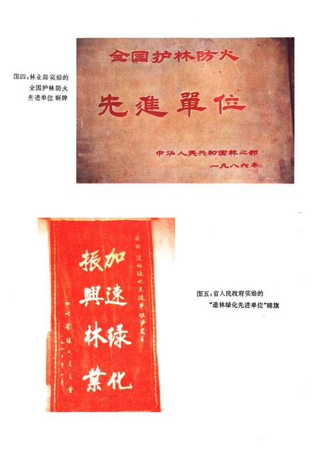 《甘孜藏族自治州泸定县林业志》.pdf电子版_四川省志插图5