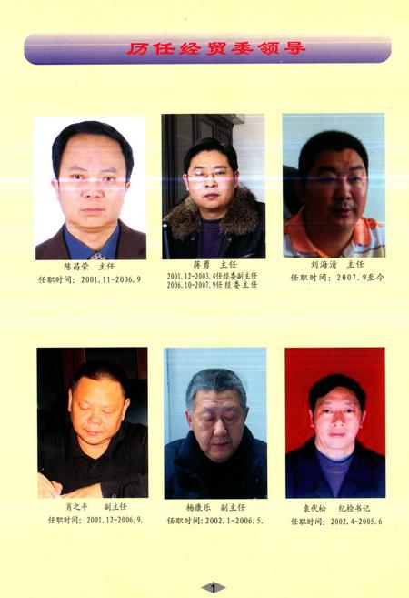 《《蓬溪县工业志(1986~2007)》》.pdf电子版_四川省志插图5