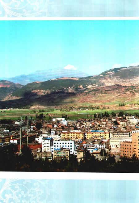 《《越西县志(1991-2005)》》.pdf电子版_四川省志插图3