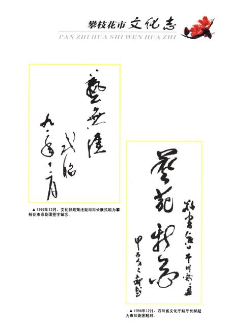 《《攀枝花市文化志(1965-2005)》》.pdf电子版_四川省志插图3 《《攀枝花市文化志(1965-2005)》》.pdf电子版_四川省志插图3