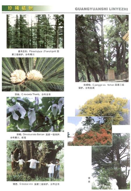 《《广元市林业志》》.pdf电子版_四川省志预览图4