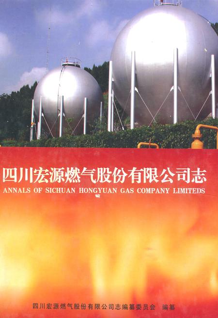 《四川宏源燃气股份有限公司志》.pdf电子版_四川省志