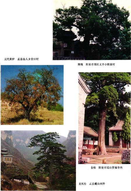 《《汶川特大地震中国石油抗震救灾志》》.pdf电子版_四川省志插图4 《《汶川特大地震中国石油抗震救灾志》》.pdf电子版_四川省志插图4