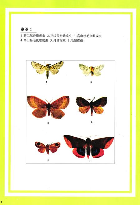 《凉山林木害虫图志》.pdf电子版_四川省志插图4