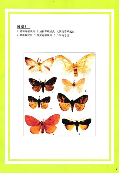 《凉山林木害虫图志》.pdf电子版_四川省志插图5