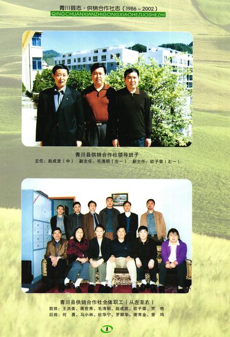 《青川县志供销合作社志(1986-2002)》.pdf电子版_四川省志插图2