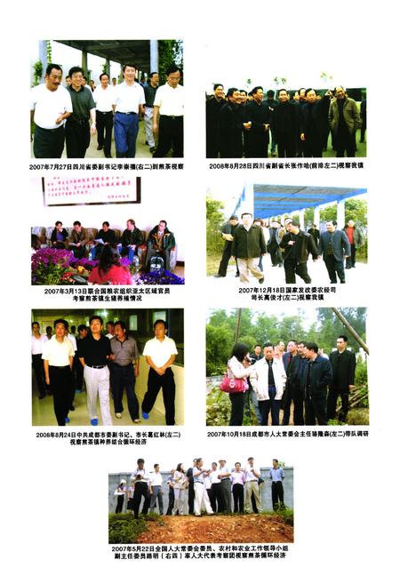 《双流县煎茶镇志(2005年本)》.pdf电子版_四川省志插图4