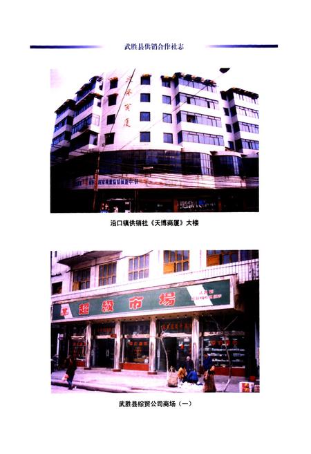 《武胜县供销合作社志(1986-2005)》.pdf电子版_四川省志插图3