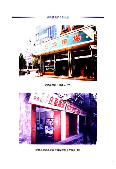 《武胜县供销合作社志(1986-2005)》.pdf电子版_四川省志插图4