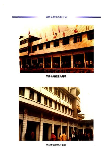 《武胜县供销合作社志(1986-2005)》.pdf电子版_四川省志插图5