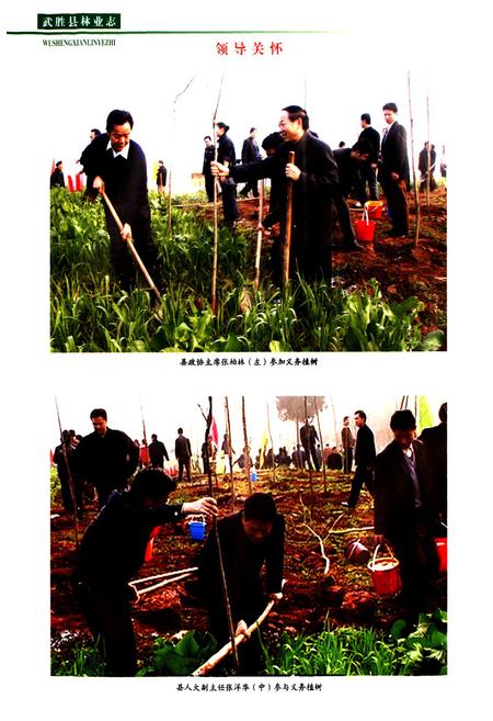 《武胜县林业志(1919-2008)》.pdf电子版_四川省志插图3