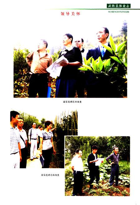 《武胜县林业志(1919-2008)》.pdf电子版_四川省志插图4