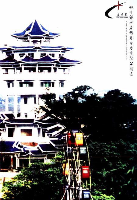 《《四川邻水启明星电力有限公司志》》.pdf电子版_四川省志插图4