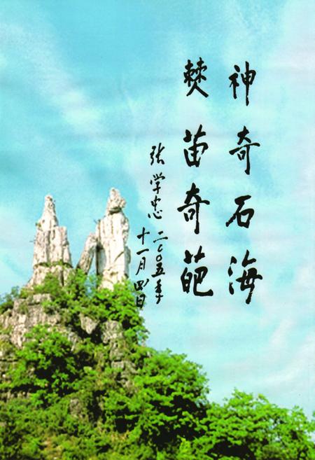 《中国·兴文石海志》.pdf电子版_四川省志插图2