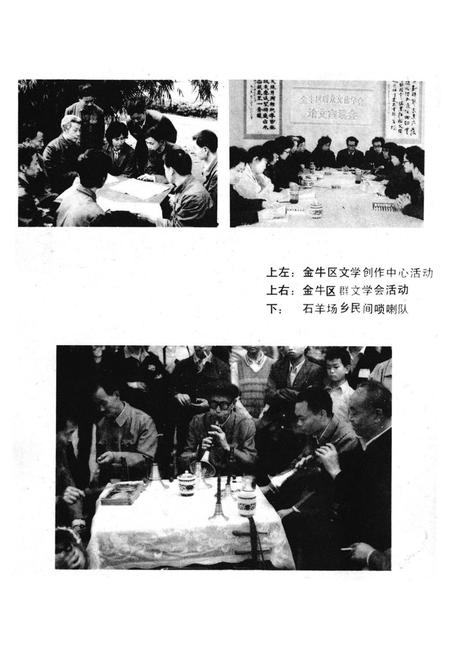 《金牛区文化志》.pdf电子版_四川省志插图5