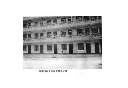 《绵阳市中区农业志》.pdf电子版_四川省志插图5
