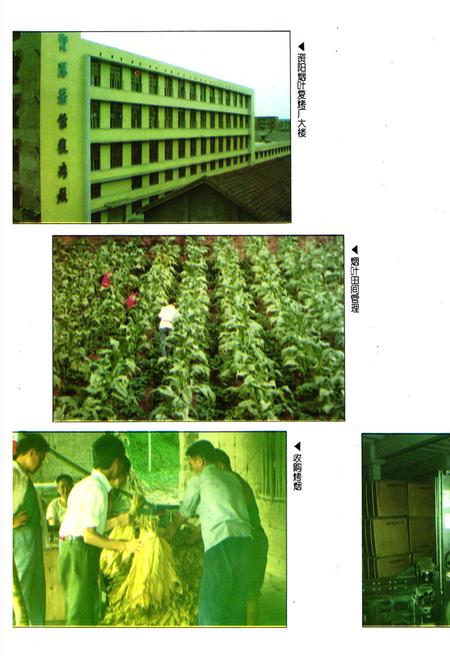 《内江地区烟草志》.pdf电子版_四川省志插图3