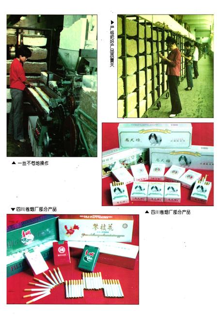 《内江地区烟草志》.pdf电子版_四川省志插图5
