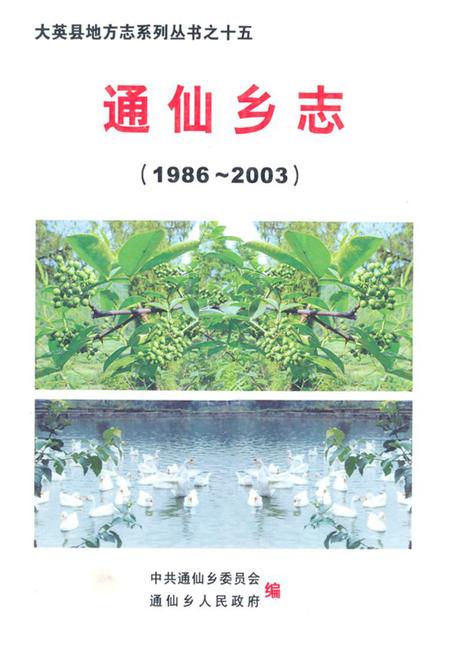 《《通仙乡志(1986~2003)》》.pdf电子版_四川省志插图