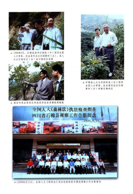 《石棉县林业志》.pdf电子版_四川省志插图3