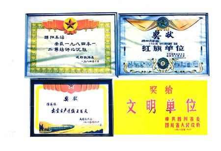 《绵阳站站志(1953-1990)》.pdf电子版_四川省志插图5