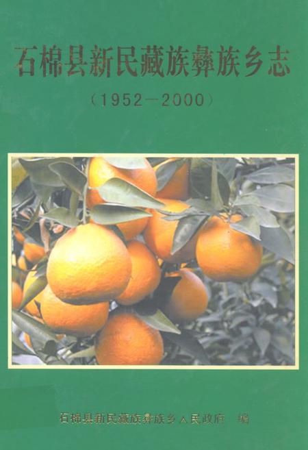 《石棉县新民藏族彝族乡志(1952-2000)》.pdf电子版_四川省志插图