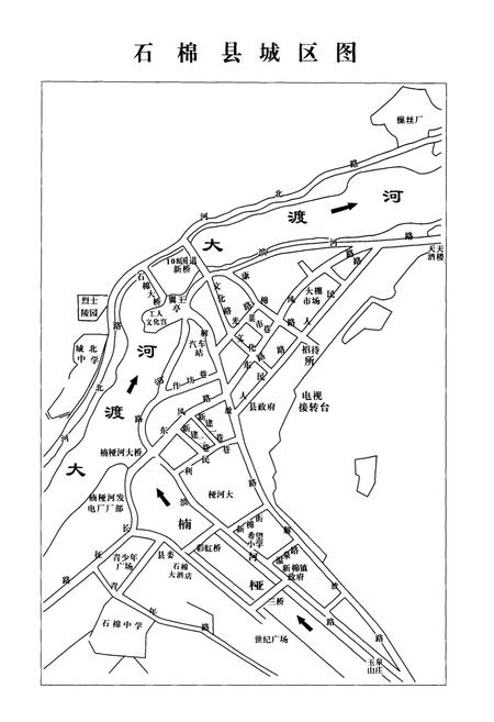 《新棉镇志》.pdf电子版_四川省志插图3