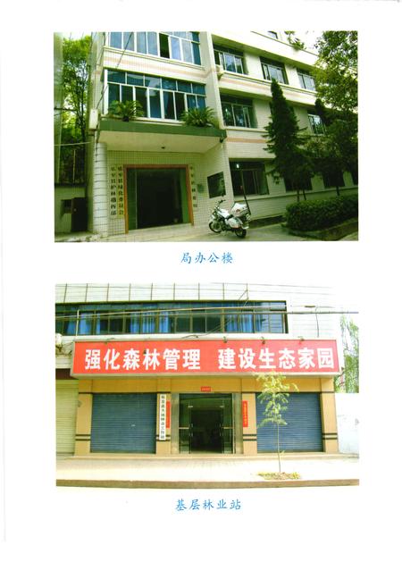 《乐至县林业志(1986-2007)》.pdf电子版_四川省志插图5
