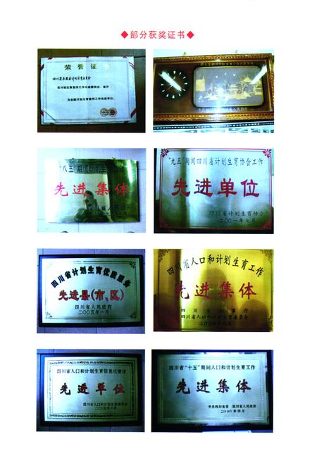 《乐至县人口和计划生育志(1986-2005)》.pdf电子版_四川省志插图5