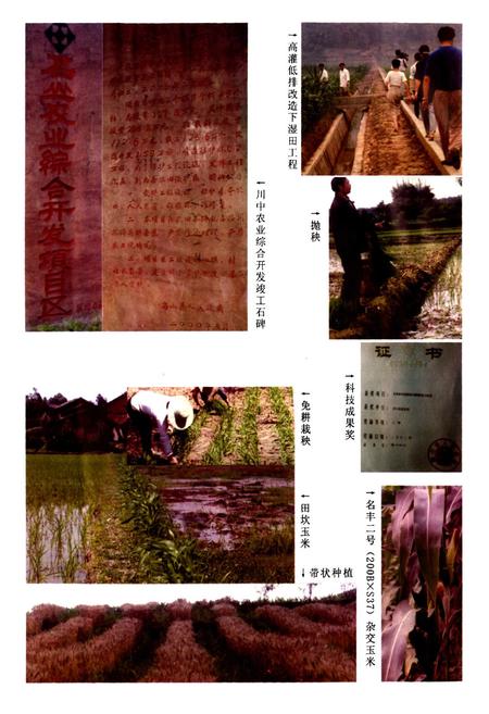 《名山县农业志》.pdf电子版_四川省志插图5