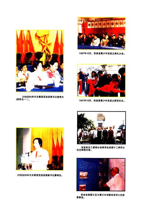 《双流县共青团志(2005年本)》.pdf电子版_四川省志插图4