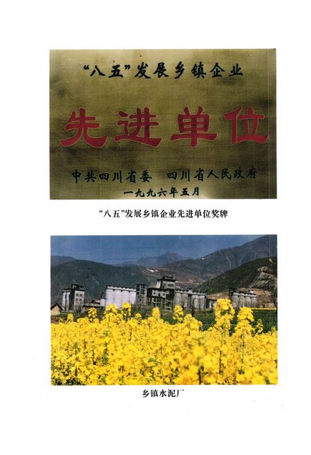 《凉山彝族自治州乡镇企业志》.pdf电子版_四川省志插图5